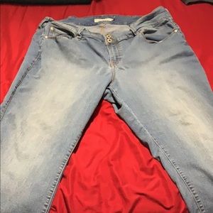 Torrid Jeans